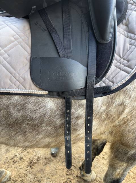 Selle Dressage Arena 18 