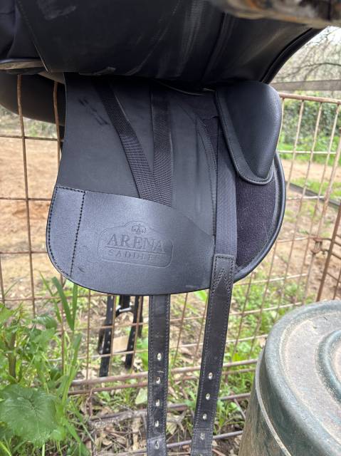 Selle Dressage Arena 18 
