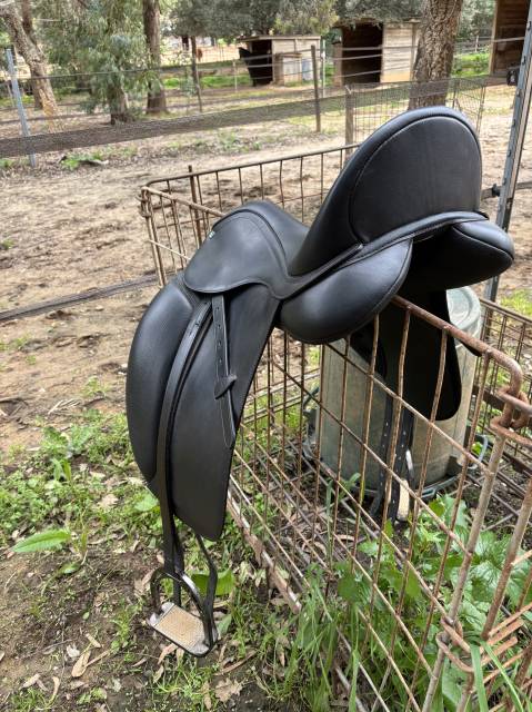 Selle Dressage Arena 18 