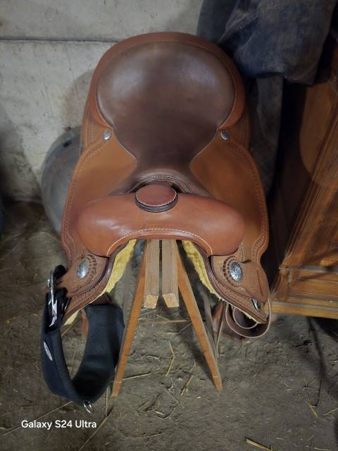 Selle pool&rsquo;s 2010