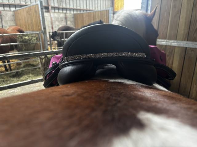 Selle mixte waldausen full &eacute;quip&eacute; 17,5p 