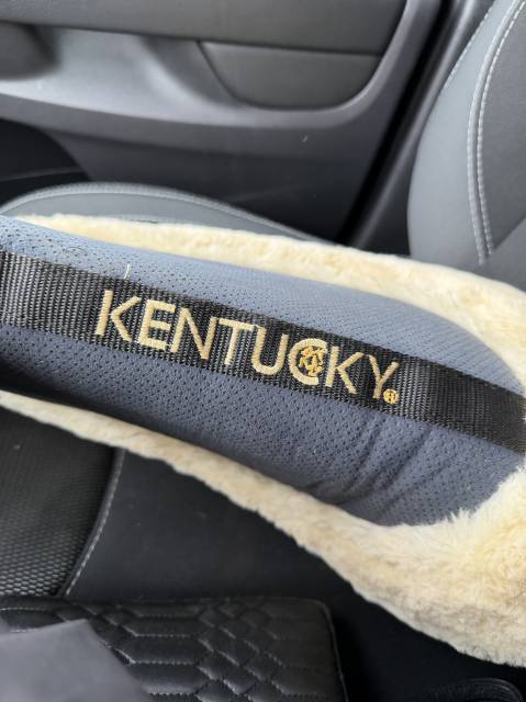 Amortisseur de dos cheval mouton synth&eacute;tique Absorb 