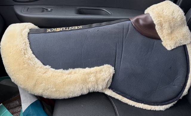 Amortisseur de dos cheval mouton synth&eacute;tique Absorb 