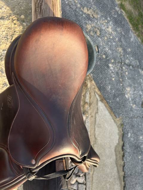 Selle Antares signature 2023