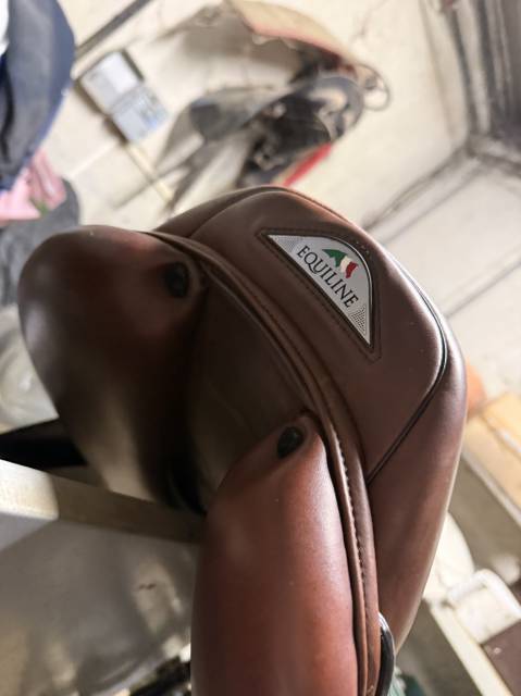 Selle equiline 