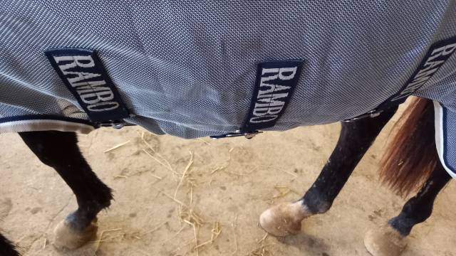 Couverture anti mouche Horse Ware 