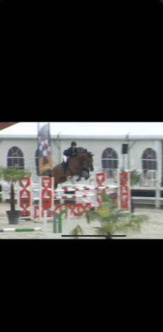 Poulini&egrave;re &agrave; vendre 