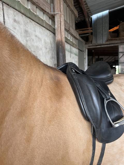 Selle de dressage Equipe