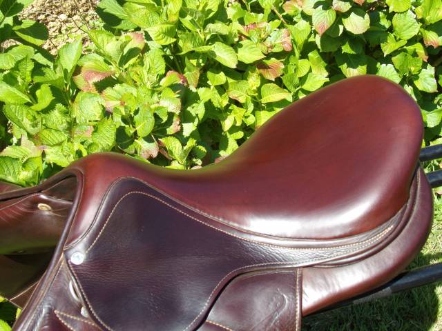 Selle Antares Monoquartier 17'5