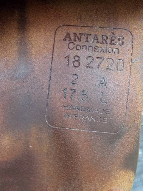 Selle obstacle Antares Connexion 17'5