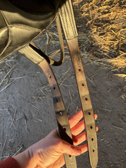 Selle de dressage Devoucoux Malika