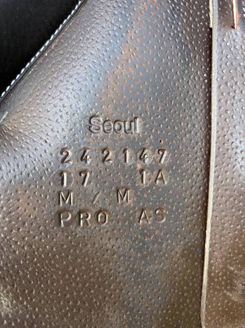 Selle forestier Seoul pro 2024