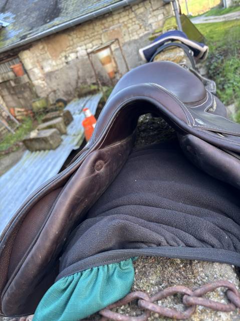 Selle forestier Seoul pro 2024