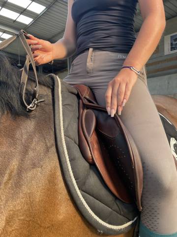 Selle Bruno Delgrange - mod&egrave;le Partition 2023