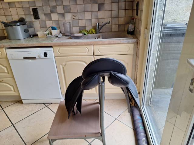 Selle wintec mixte 250, 17 pouces