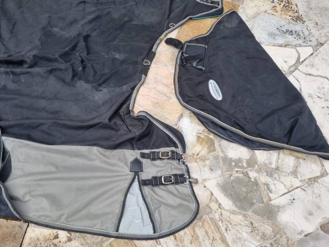 Couverture cheval Weatherbeeta