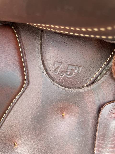 Selle &Eacute;ric Thomas &eacute;lite 