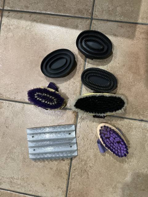 Lot brosse &eacute;quitation ou d&eacute;tail taille enfant et adultE