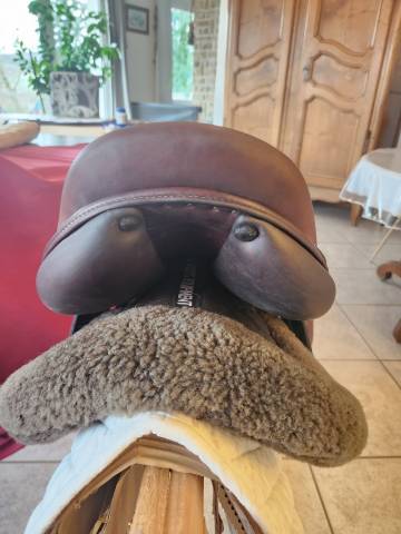 Selle de saut d'obstacle Bayon Baude