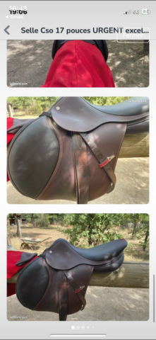 Selle &Eacute;QUIPE 17pouces de fin 2024
