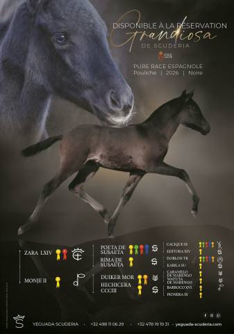  Pouliche noire pure race espagnole