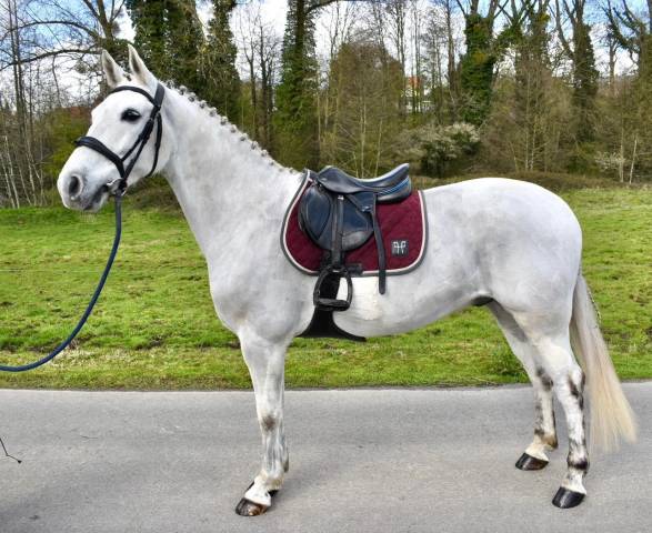 Super poney