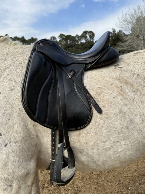 Selle de dressage