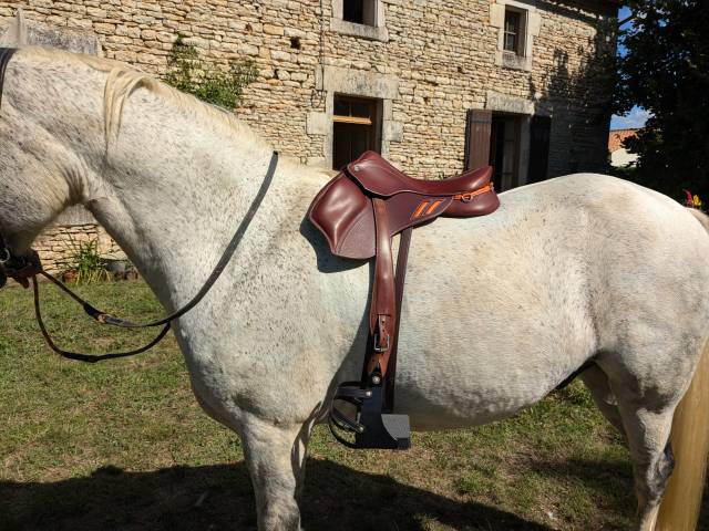 Selle DEVOUCOUX 2023