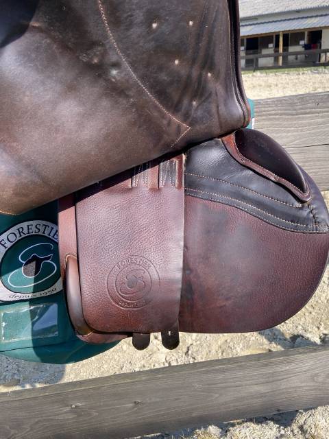 Selle forestier S&eacute;oul C 