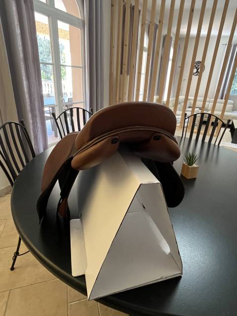 Selle Renaissance 2022