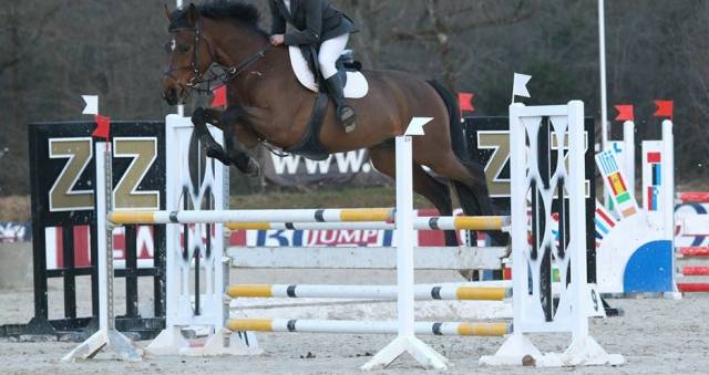 selle Mondange sport 17"