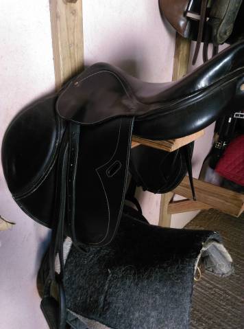 selle Mondange sport 17"