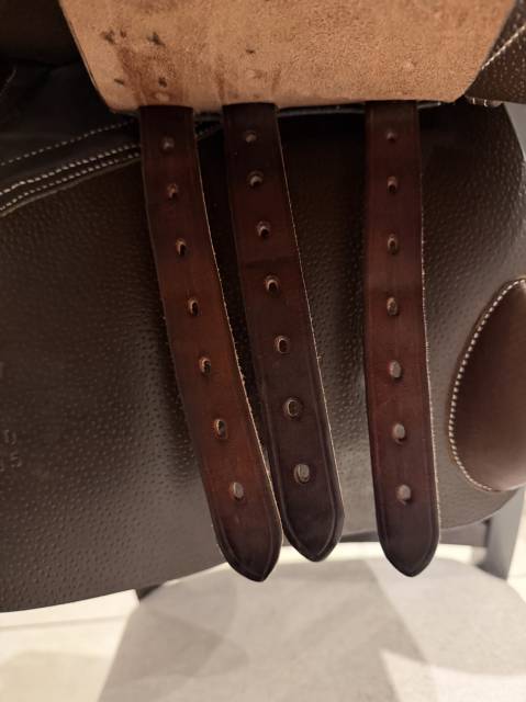 Selle Forestier Seoul 17,5