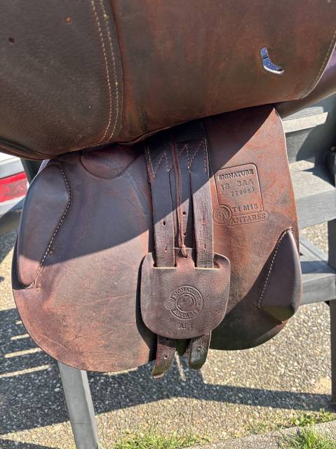 Ensemble Antar&egrave;s complet &ndash; Selle + Bavette + Filet