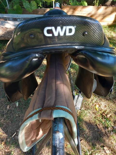 Selle CWD