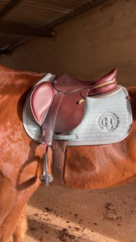 Selle cwd premi&egrave;re main 17.5 pouces