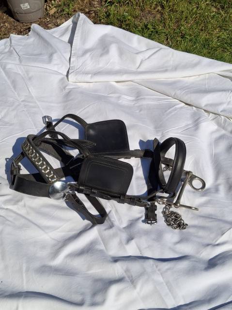 Harnais d'attelage en cuir Taille COB