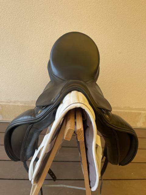 Prestige Dressage Modena 