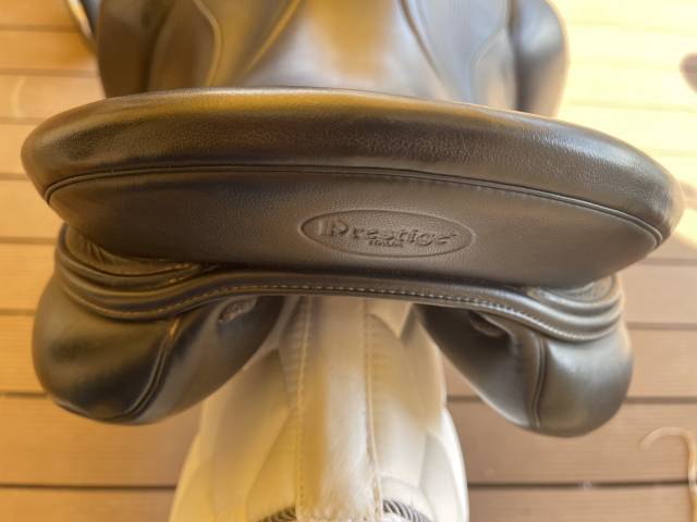 Prestige Dressage Modena 