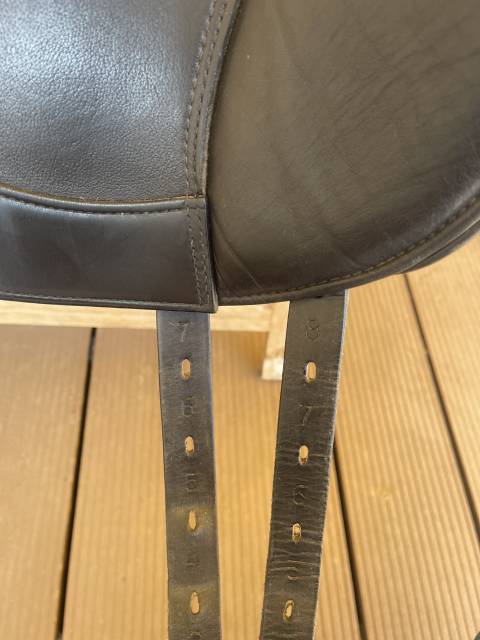 Prestige Dressage Modena 