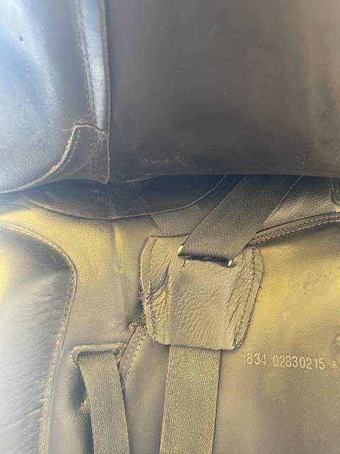 Prestige Dressage Modena 