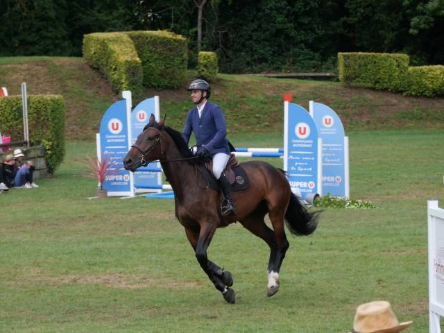 Cheval de sport CSO (Amateur/pro)