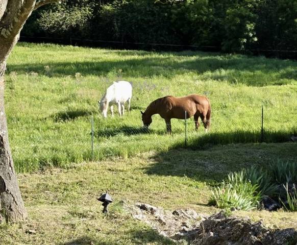 Propri&eacute;t&eacute; dans la Dr&ocirc;me de 15 hectares avec grand g&icirc;te