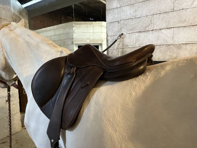 Selle forestier S&eacute;oul 