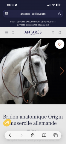 Filet et r&ecirc;nes Antares