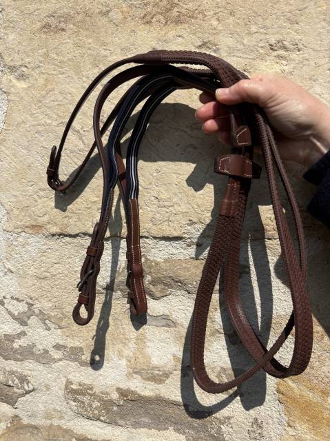 Filet et r&ecirc;nes Antares