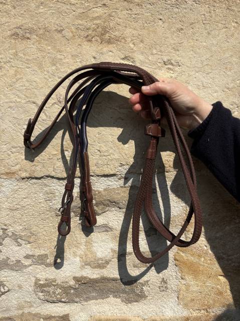 Filet et r&ecirc;nes Antares