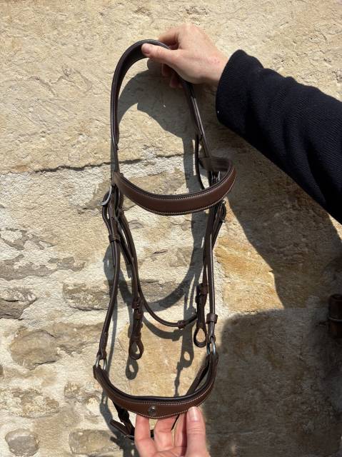 Filet et r&ecirc;nes Antares