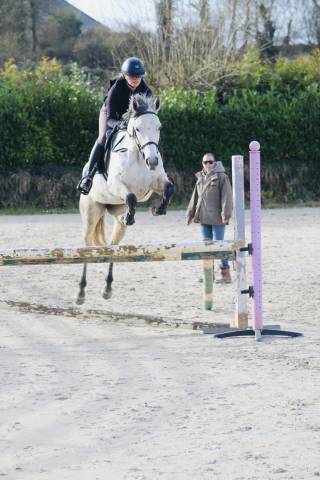 Jument  de 7ans, 164cm &agrave; vendre