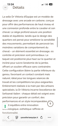 Selle dressage &eacute;quipe Viktoria